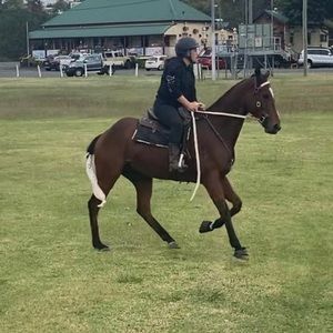 Meet your Posher, Josie